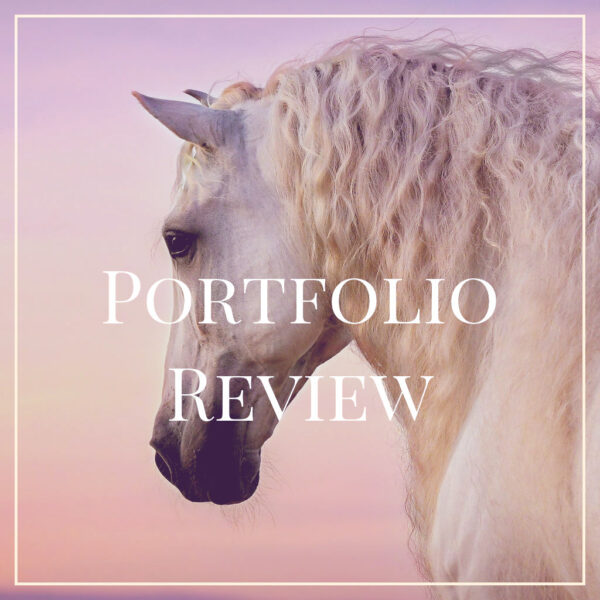 portfolio-review-beoordeling